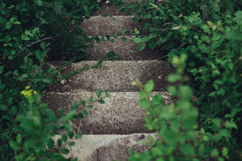 Garden path and stone steps